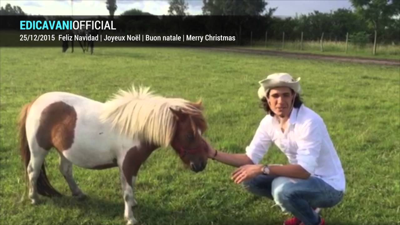 Buon Natale Horse.Feliz Navidad Joyeux Noel Buon Natale Merry Christmas Youtube