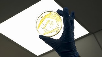 Bacteria‐Based Materials for Stem Cell Engineering