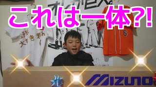 いよいよデビュー!!【新しい相棒です】