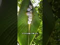 毎日かわいい動物をひとつ知ろう