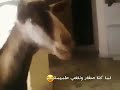 العد السريع 