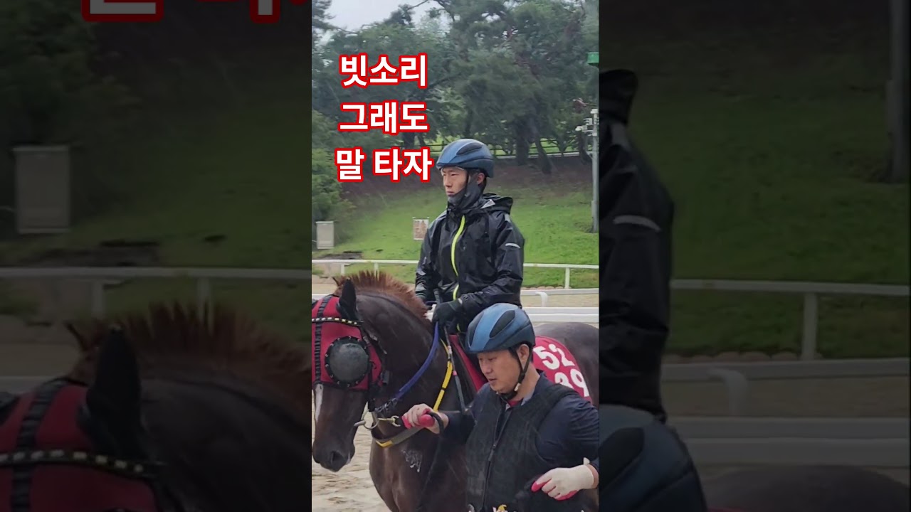 빗소리 웅장한 굽소리