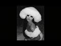 R&B Type Beat - "Cute" | Smooth RnB Type Beat | Trapsoul Instrumental 2026