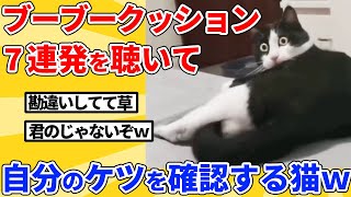 【2ch動物スレ】ブーブークッションの音を自分のオナラと勘違いして焦りまくる猫