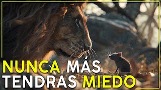 RECONOCE Tus MIEDOS y Vuélvete INVENCIBLE  Historia de un RATÓN Budista | Historia con Moraleja