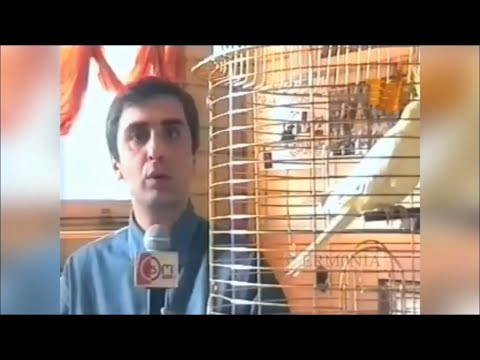 გადაცემა GeoPop - სიუჟეტი ВИА-ებზე (ლაშა გაბუნია) [2001]