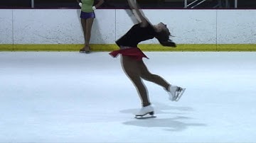 Butterfly Flight Inspires Better Flying Robots