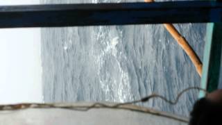 Mosntrous Wave P3 V