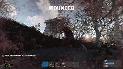 RUST 2020 07 16   21 42 52 03 DVR Trim