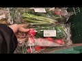 Цены на продукты в Волгограде . Цены на укроп, петрушку, лук, базилик