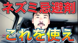 住み着かれているなら忌避剤は〇〇タイプを使うべし【誰でも出来る】