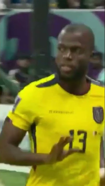 Qatar v Ecuador offside goal World Cup - YouTube