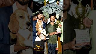 Hassan Dog show | #petcarekannada #Beagle
