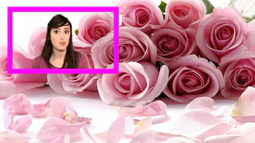 ¿Qué significa 9 rosas rosas?