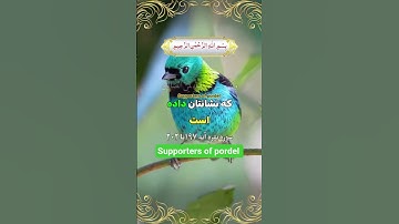 حج در ماه های معینی می‌باشد،ترجمه فارسي سوره مبارک بقره آیات ۱۹۷-۲۰۲☝️🤲🕋❤️