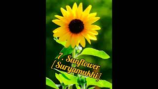 Top 12 rainy season ⛱️🪴 flowering plants in india |🌈 Best monsoon flowers india 🇮🇳 | #shorts Top 12 rainy season ⛱️🪴 flowering plants in india |🌈 Best monsoon flowers india 🇮🇳 | #shorts