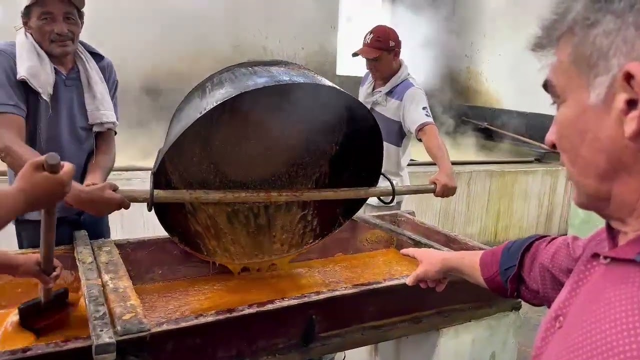 Engenho rapadura  no sertão nordestino  pombal pb