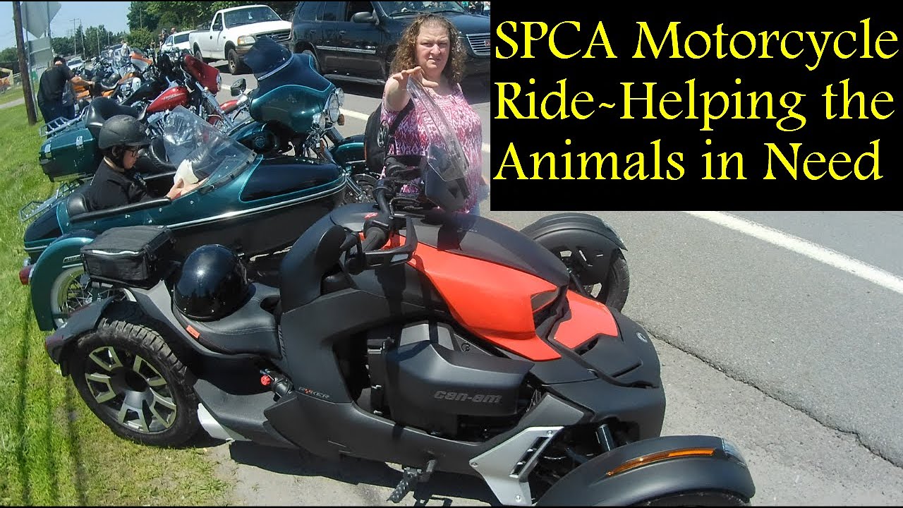 No Drill Can Am Ryker Parking Brake Lock Kit Installation Youtube