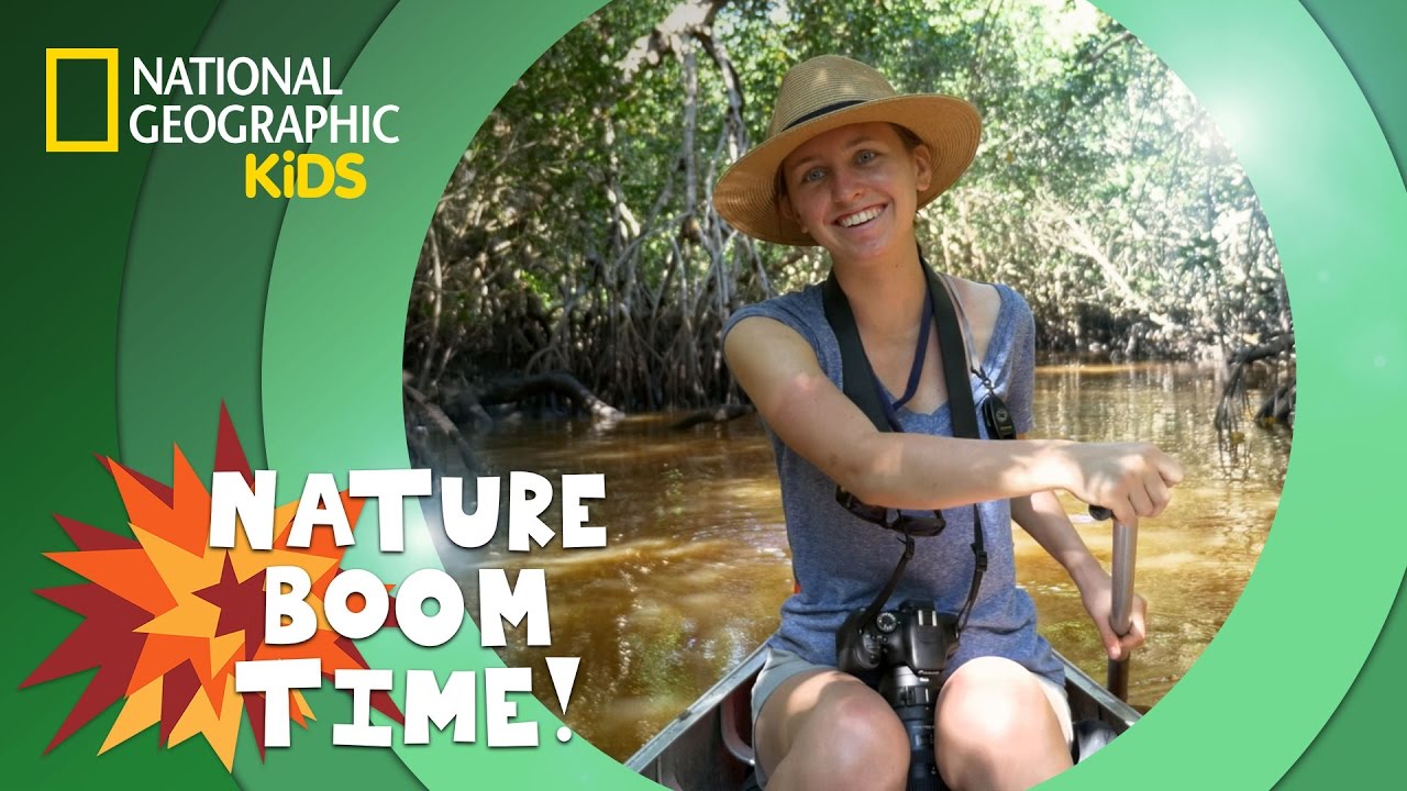 ⁣Florida Everglades | Nature Boom Time