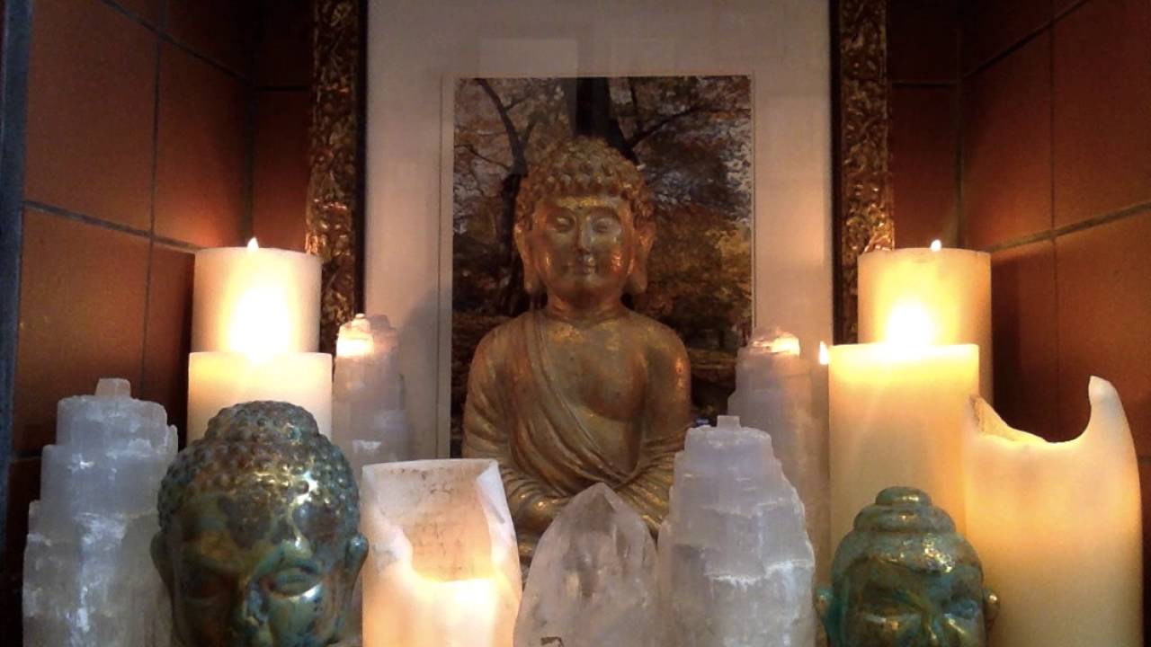 psychics in the area World Peace Meditation