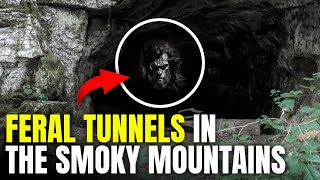 Uncovering The Feral People's Secret Tunnels in Smoky Mountains!
