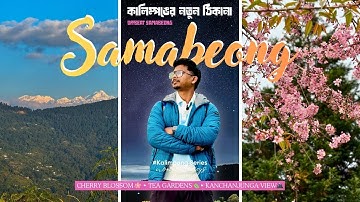 Cherry Blossom in Samabeong 🌸 | Offbeat Kalimpong with Majestic Kanchanjungha Views