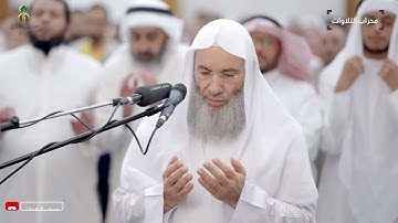 صلاة الوتر والدعاء من تراويح ليلة 12 رمضان 1445 هـ | الشيخ محمد حسان | محراب التلاوات والعلم