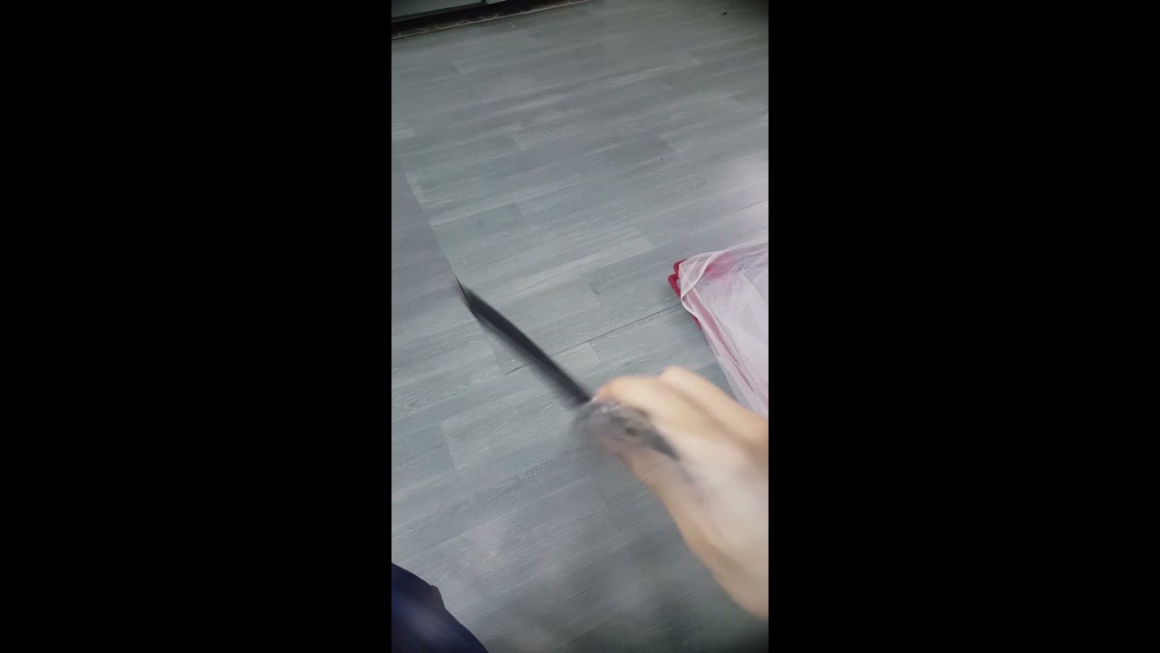 Review on Zephyr V3 (clone) 