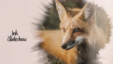 Ink Slideshow Premiere Pro Templates