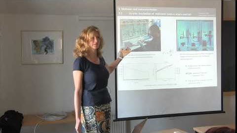Sediment processes, sediment-water fluxes