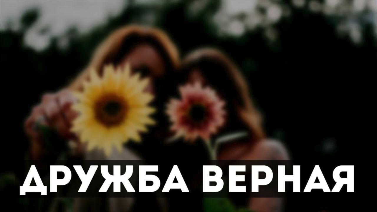 Цитаты про собак. Собака друг человека цитаты. Предает радость. Предает радость. Любовь и гармония в семье.