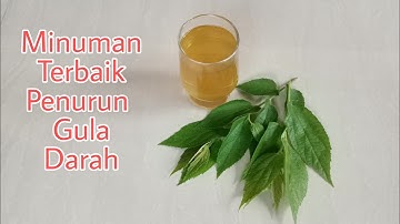 Ini Cara Turunkan Gula Darah Secara Alami Dengan Rebusan Daun Kersen.