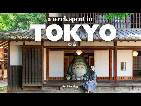 Life in Tokyo| Totoro House, Todoroki Valley, Shopping & Tokyo Souvenir Guide