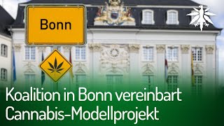 Koalition in Bonn vereinbart Cannabis-Modellprojekt | DHV-News 279