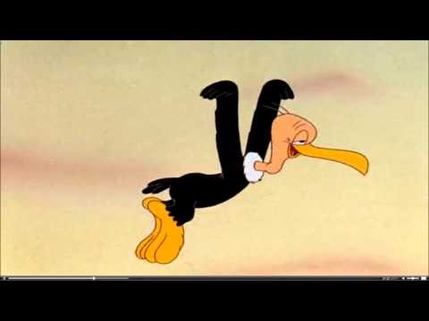 Bashful Buzzard Flies 