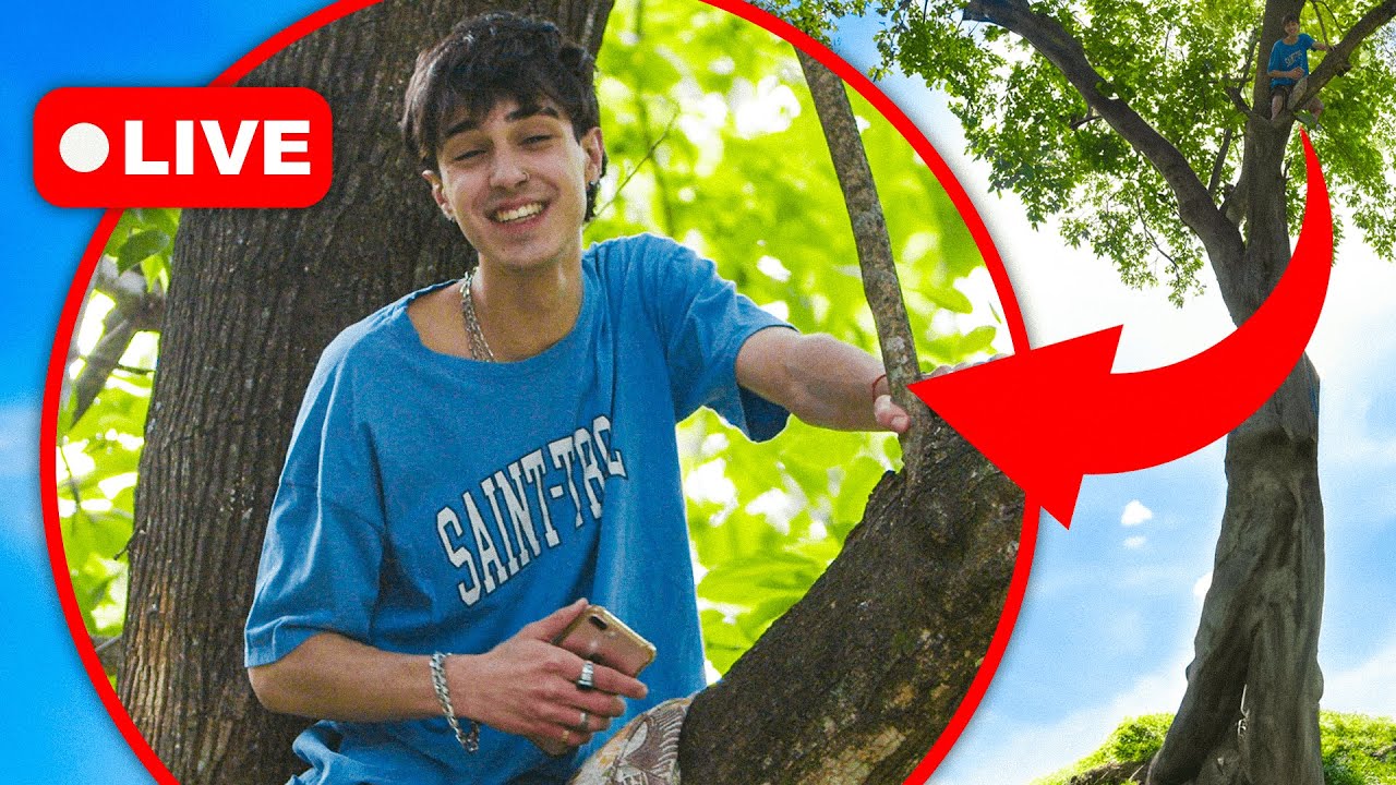 hice STREAM en un ÁRBOL 🌳