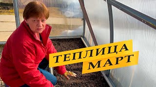 Теплица. Посадки в марте.