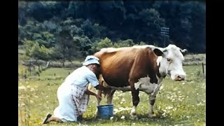 Farming in the 50s 8mm film transfer Filmed in Virginia
