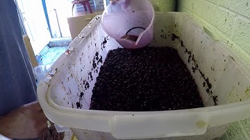 Punching Down the Cap - Garage Style!