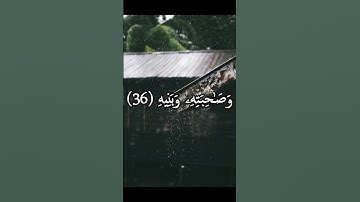#متاعا لكم ولأنعامكم سورة عبس للقارئ عبدالرحمن محمد صبحي كرومات سوداء#