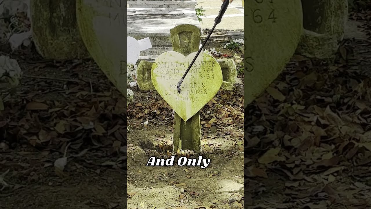 Cleaning A Destroyed Baby S Grave For Free