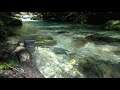 【自然音】清らかな水の音・円原川・４K映像