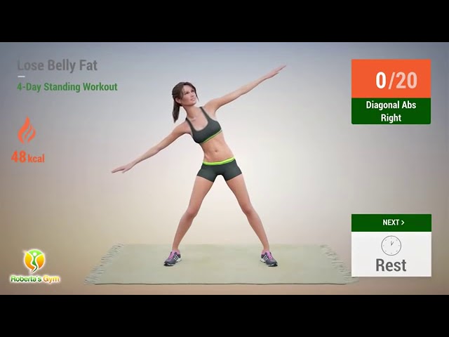 Standing Belly Fat Workout 