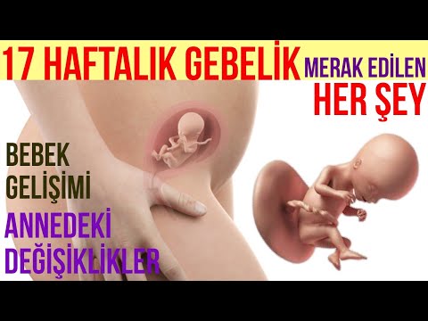 Video: 17 Haftalık Hamilelik: Duyular, Fetal Gelişim