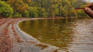Painting a Realistic Lake With Oil Paint. Time Lapse
