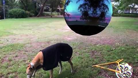 Mind Chill Portals - Inter-dimensional AR chill-out portals live demo