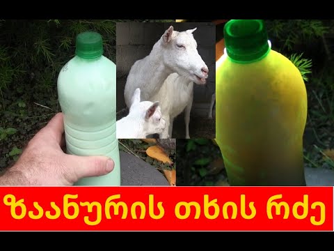 როგორია ზაანური თხის რძის ცხიმიანობა...