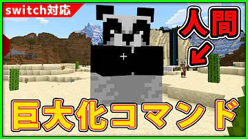 マイクラ面白いコマンド