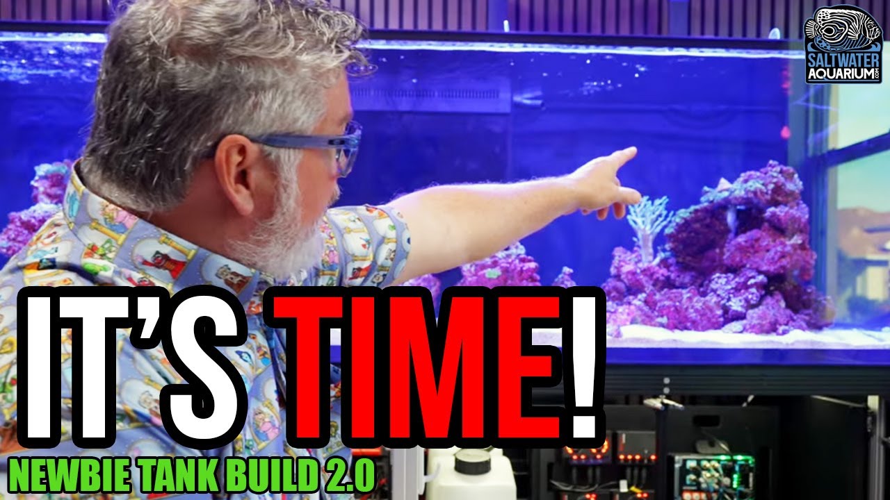 Почему я наконец-то решился на это обновление 😲 (И вам тоже стоит это сделать)