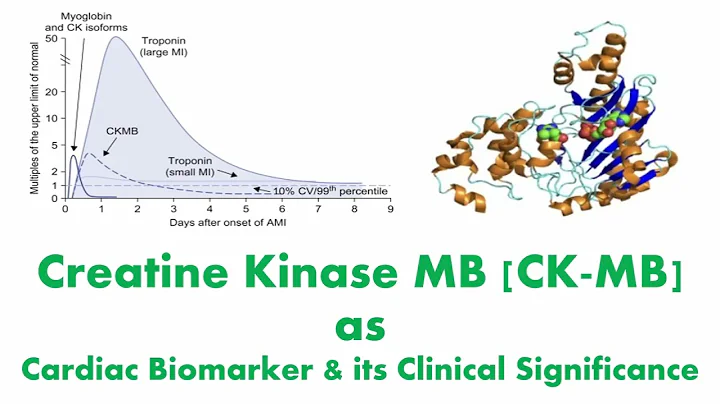 CKMB - En viktig biomarkör för hjärtinfarkt